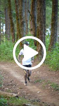 BIB:  <button type="button" onclick="openModal(27339499)" class="btn btn-primary btn-sm float-right" data-toggle="modal" data-target=".modal-high-quality">
                <i class="fa fa-download"></i> Download
                </button>